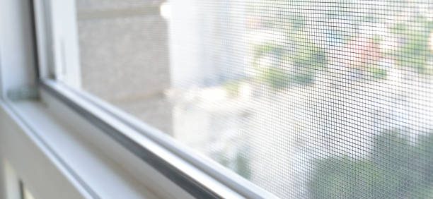 mosquito net on the window